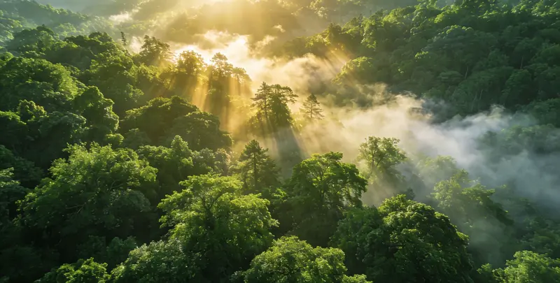 定西肺癌甲基化检测图片1