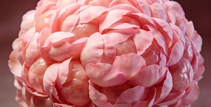 定西BRCA1/2乳腺癌卵巢癌基因检测图片1